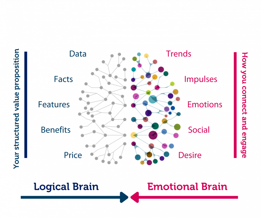 left brain right brain