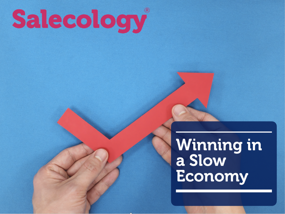 winning in a slow economy cover